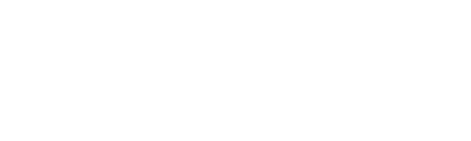 Advisor Report